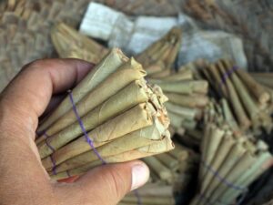 बीड़ी पर जीएसटी घटाया, सिगरेट-तंबाकू पर बढ़ाया: वित्त मंत्री के फैसले से गरमाई सियासत, केरल कांग्रेस के ट्वीट ने बढ़ाया विवाद