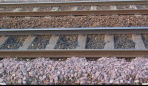 मोकामा दुलारचंद यादव हत्याकांड की जांच अब सीआईडी के हवाले, घटनास्थल से मिले अहम सुराग