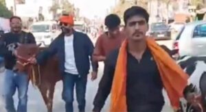 दोनार चौक पर गौ तस्करी का भंडाफोड़: 9 गायों से भरी पिकअप को स्थानीय लोगों ने दबोचा, चालक गिरफ्तार