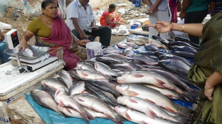 समस्तीपुर में अवैध मीट-मछली दुकानों पर गिरेगी गाज, सरकार का सख्त आदेश, खुले बाजार होंगे बंद