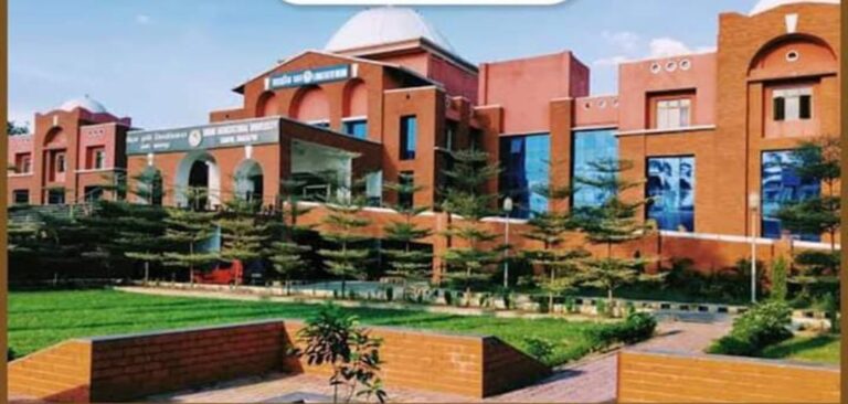 GI अधिकृत उपयोगकर्ताओं में बिहार बना देश का नंबर वन, महाराष्ट्र को छोड़ा पीछे