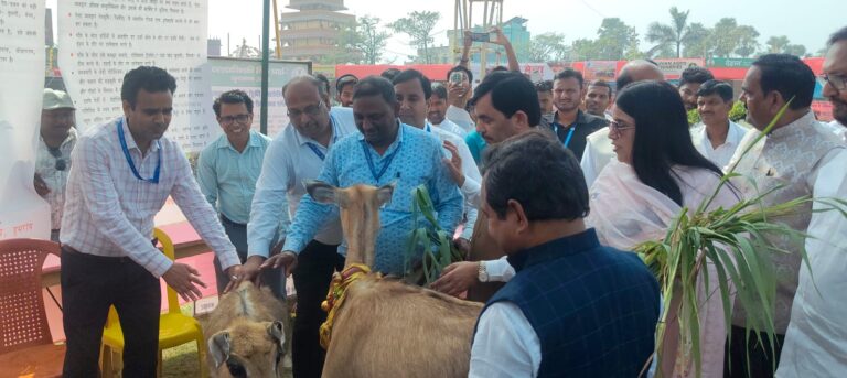राष्ट्रीय किसान मेले में ‘वनबकरी’ का कमाल, बिस्किट खाते और आवाज पर दौड़ते देख चकित रह गए किसान व वैज्ञानिक